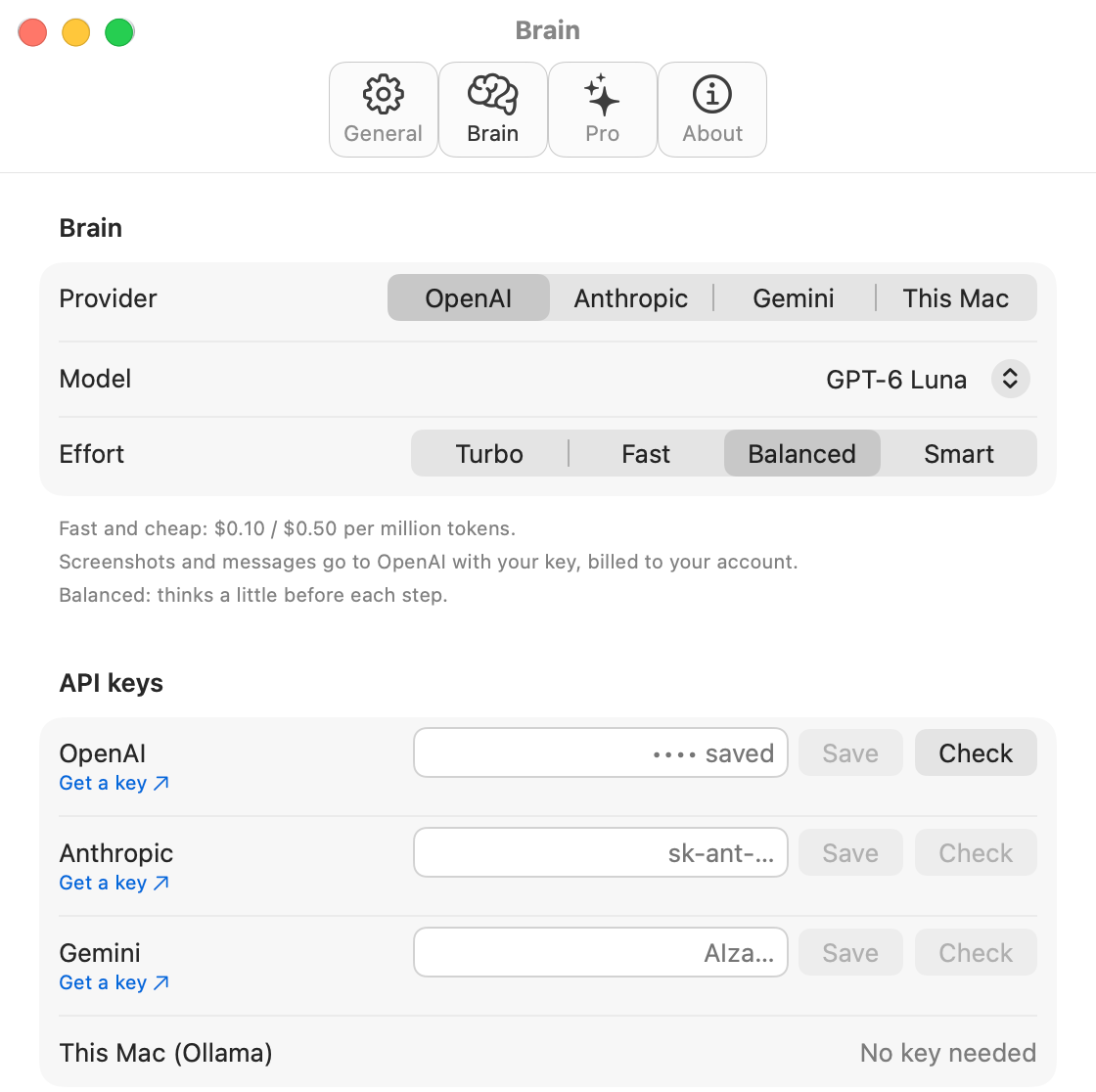 Cloudy's Brain settings: provider, model, effort and API keys